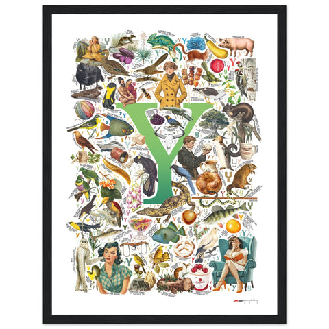 "Y is for Yonder" — a Renard Roux alphabet poster with English Y words (green version)