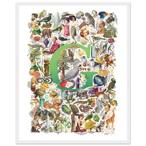"G is for Great" — a Renard Roux alphabet poster with English G words (green version)