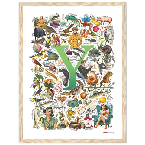 "Y is for Yonder" — a Renard Roux alphabet poster with English Y words (green version)