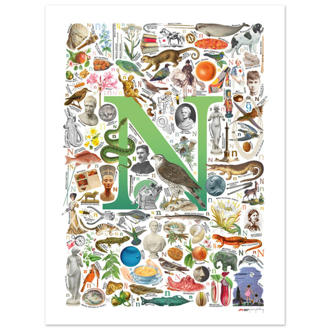 "N is for Nature" — a Renard Roux alphabet poster with English N words (green version)