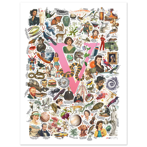 "V is for Voyage" — a Renard Roux alphabet poster with English V words (pink version)