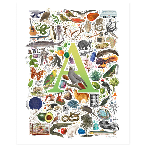 "A is for Adventure" — a Renard Roux alphabet poster with English A words (chartreuse version)