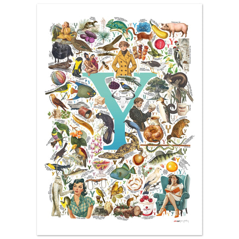 "Y is for Yonder" — a Renard Roux alphabet poster with English Y words (turquoise version)