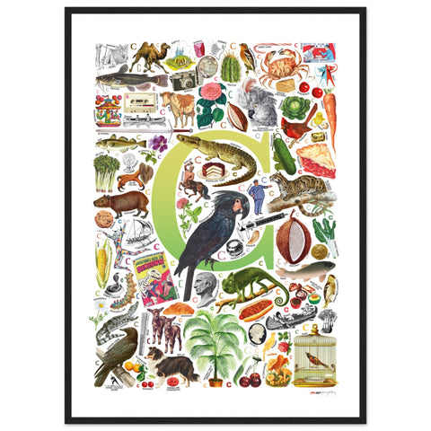 "C is for Curious" — a Renard Roux alphabet poster with English C words (chartreuse version)
