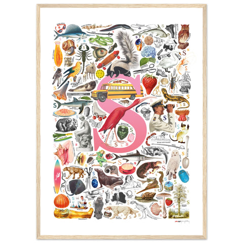 "S is for Surprise" — a Renard Roux alphabet poster with English S words (pink version)