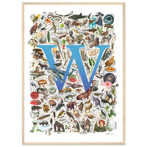 "W is for Wonder" — a Renard Roux alphabet poster with English W words (blue version)