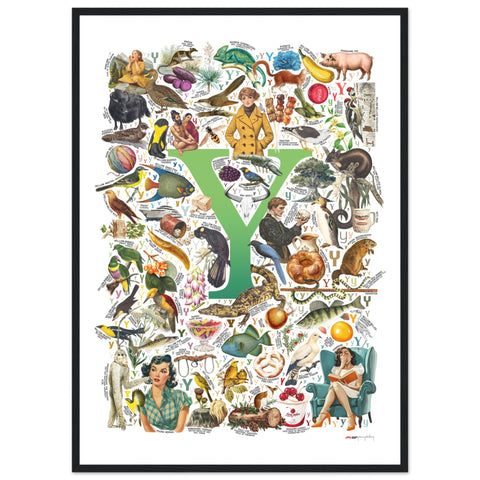"Y is for Yonder" — a Renard Roux alphabet poster with English Y words (green version)