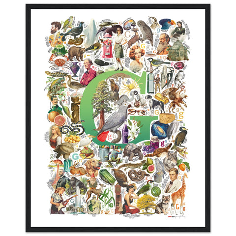 "G is for Great" — a Renard Roux alphabet poster with English G words (green version)