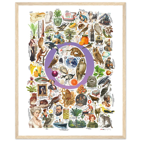 "O is for Original" — a Renard Roux alphabet poster with English O words (purple version)