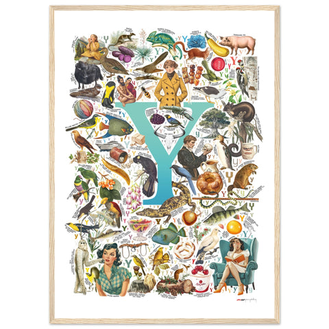 "Y is for Yonder" — a Renard Roux alphabet poster with English Y words (turquoise version)