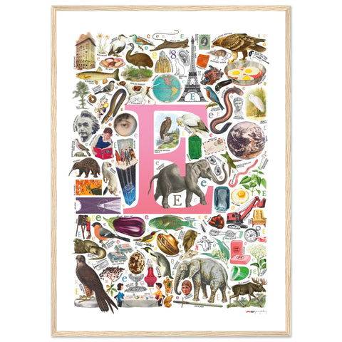 "E is for Explore" — a Renard Roux alphabet poster with English E words (pink version)