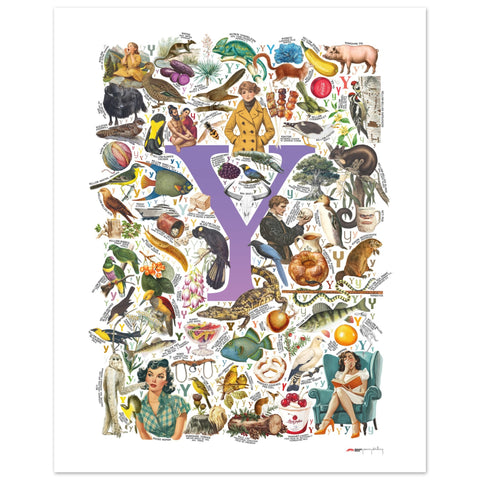 "Y is for Yonder" — a Renard Roux alphabet poster with English Y words (purple version)