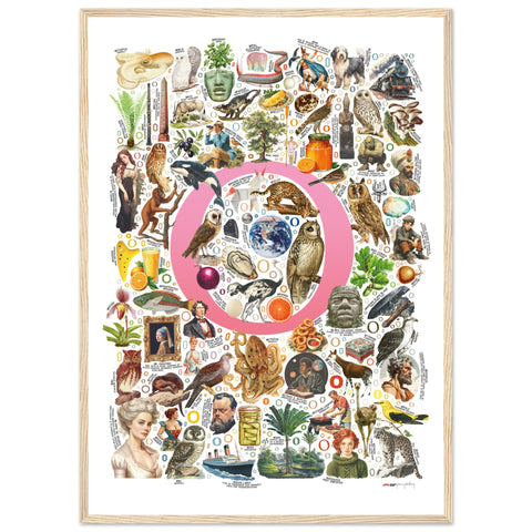 "O is for Original" — a Renard Roux alphabet poster with English O words (pink version)