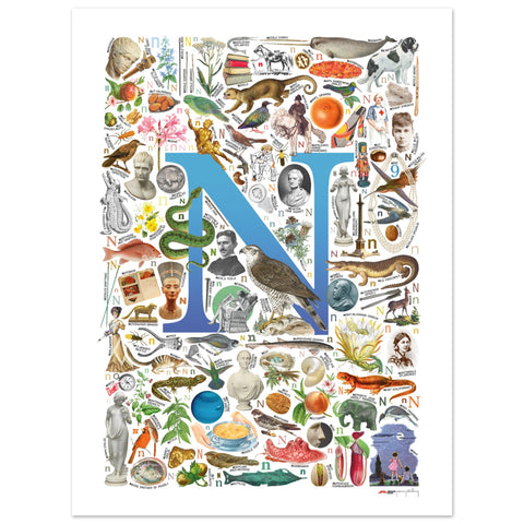 "N is for Nature" — a Renard Roux alphabet poster with English N words (blue version)