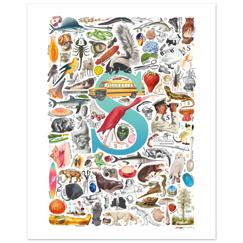 "S is for Surprise" — a Renard Roux alphabet poster with English S words (turquoise version)