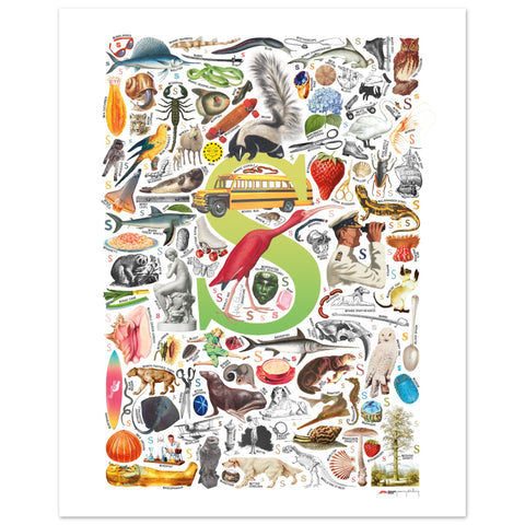 "S is for Surprise" — a Renard Roux alphabet poster with English S words (chartreuse version)