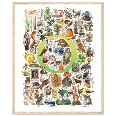 "O is for Original" — a Renard Roux alphabet poster with English O words (chartreuse version)
