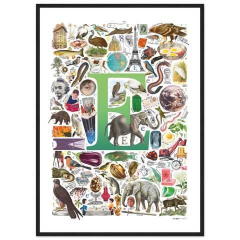 "E is for Explore" — a Renard Roux alphabet poster with English E words (green version)