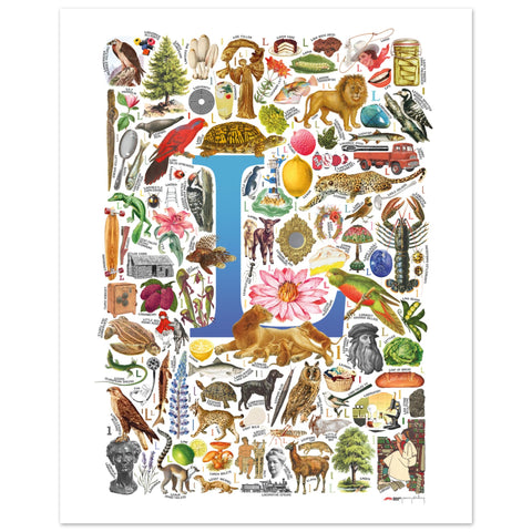 "L is for Learning" — a Renard Roux alphabet poster with English L words (blue version)