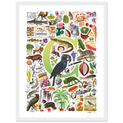 "C is for Curious" — a Renard Roux alphabet poster with English C words (chartreuse version)