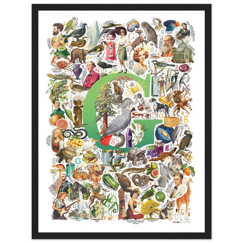 "G is for Great" — a Renard Roux alphabet poster with English G words (green version)