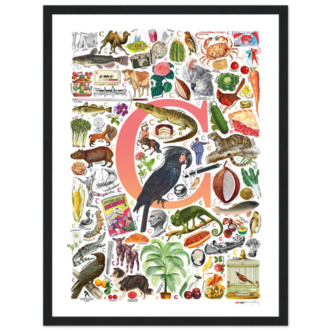 "C is for Curious" — a Renard Roux alphabet poster with English C words (red version)