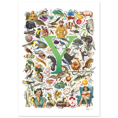 "Y is for Yonder" — a Renard Roux alphabet poster with English Y words (green version)