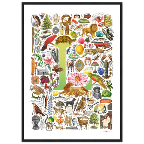 "L is for Learning" — a Renard Roux alphabet poster with English L words (chartreuse version)