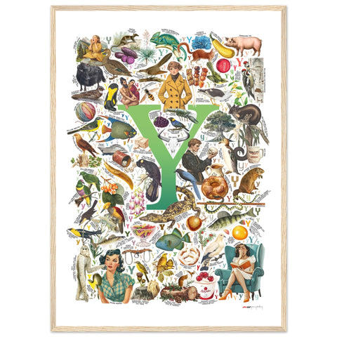 "Y is for Yonder" — a Renard Roux alphabet poster with English Y words (green version)