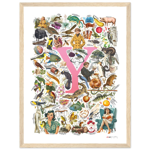 "Y is for Yonder" — a Renard Roux alphabet poster with English Y words (pink version)