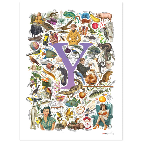 "Y is for Yonder" — a Renard Roux alphabet poster with English Y words (purple version)