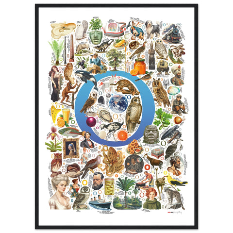 "O is for Original" — a Renard Roux alphabet poster with English O words (blue version)