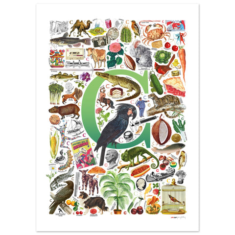 "C is for Curious" — a Renard Roux alphabet poster with English C words (green version)