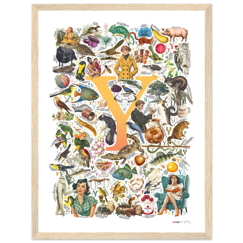 "Y is for Yonder" — a Renard Roux alphabet poster with English Y words (yellow version)