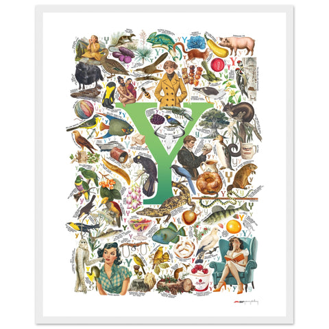 "Y is for Yonder" — a Renard Roux alphabet poster with English Y words (green version)