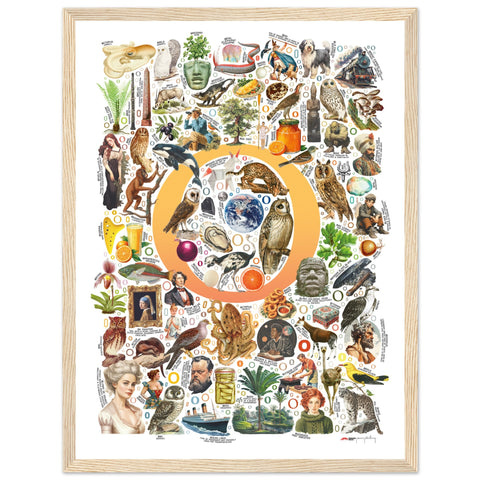 "O is for Original" — a Renard Roux alphabet poster with English O words (yellow version)