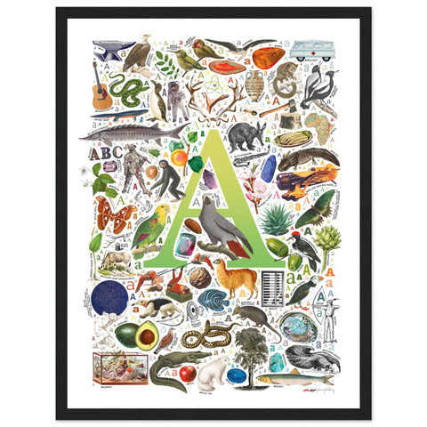 "A is for Adventure" — a Renard Roux alphabet poster with English A words (chartreuse version)