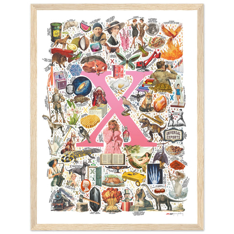 "X is for Xanadu" — a Renard Roux alphabet poster with English X words (pink version)