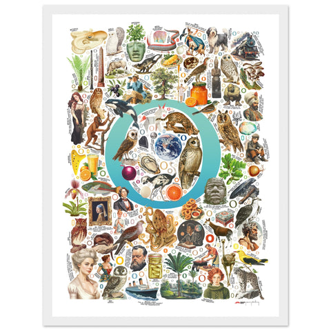 "O is for Original" — a Renard Roux alphabet poster with English O words (turquoise version)