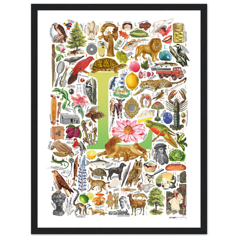 "L is for Learning" — a Renard Roux alphabet poster with English L words (chartreuse version)