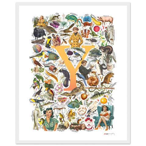 "Y is for Yonder" — a Renard Roux alphabet poster with English Y words (yellow version)
