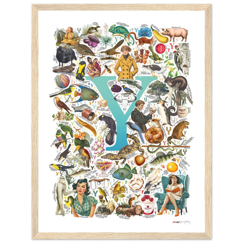 "Y is for Yonder" — a Renard Roux alphabet poster with English Y words (turquoise version)