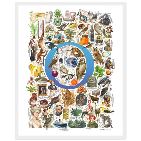 "O is for Original" — a Renard Roux alphabet poster with English O words (blue version)