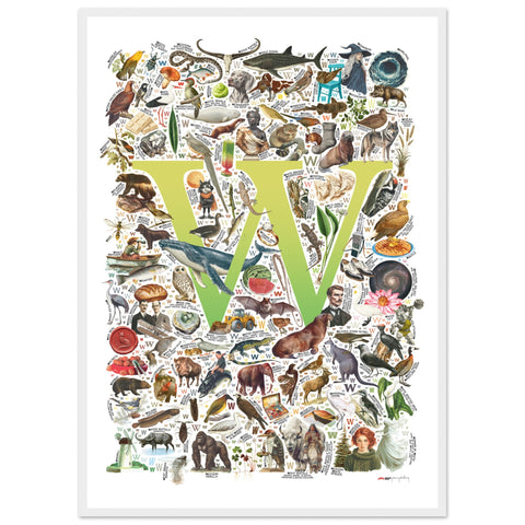 "W is for Wonder" — a Renard Roux alphabet poster with English W words (chartreuse version)
