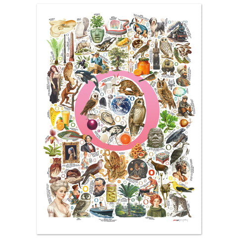 "O is for Original" — a Renard Roux alphabet poster with English O words (pink version)