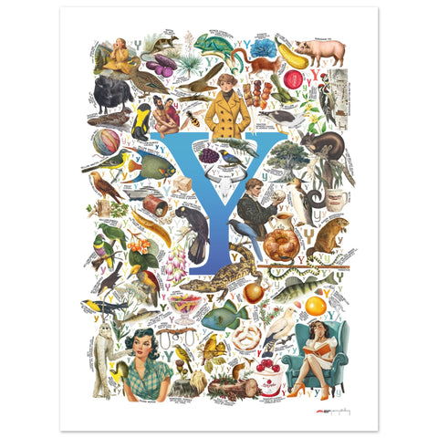 "Y is for Yonder" — a Renard Roux alphabet poster with English Y words (blue version)