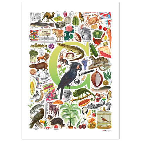 "C is for Curious" — a Renard Roux alphabet poster with English C words (chartreuse version)