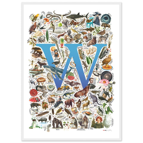 "W is for Wonder" — a Renard Roux alphabet poster with English W words (blue version)
