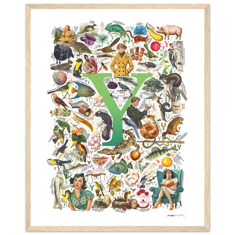 "Y is for Yonder" — a Renard Roux alphabet poster with English Y words (green version)