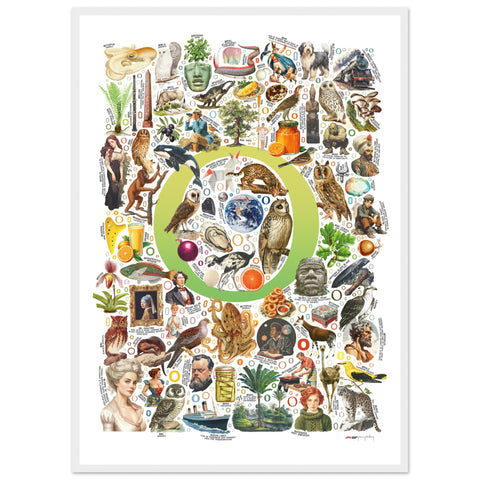 "O is for Original" — a Renard Roux alphabet poster with English O words (chartreuse version)